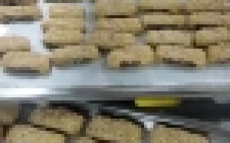 هل سيراعى قانون الايجار القديم أرباب المعاشات