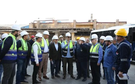 وزارة قطاع الأعمال العام تبحث خطة إصلاح  عاجلة مصانع “الدلتا للأسمدة” بطلخا