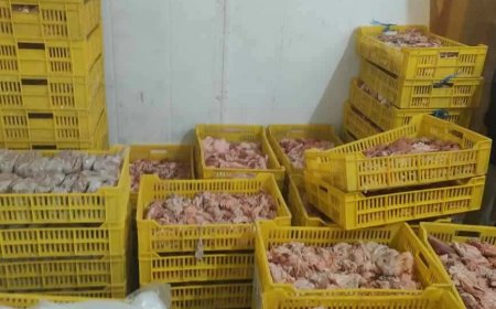 ضبط 5 طن لحوم ودواجن فاسدة بعدة مناطق بالجيزة