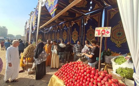 بالصور- محافظة الجيزة تقيم ١٨ سوقا للسلع الغذائية لتغطية أحياء المحافظة