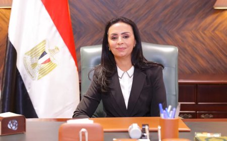 “التضامن”: تكليف الدفعة 104 من خريجى الجامعات لأداء الخدمة العامة