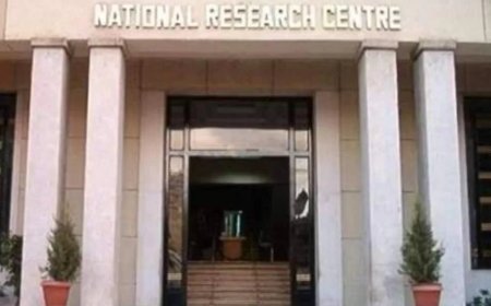 تنمية المهارات الريادية وتسويق التكنولوجيا في ندوة لقومى البحوث