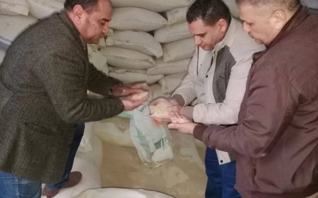 ضبط ١٣٠ طن دقيق مدعم بالجيزة قبل بيعها في السوق السوداء