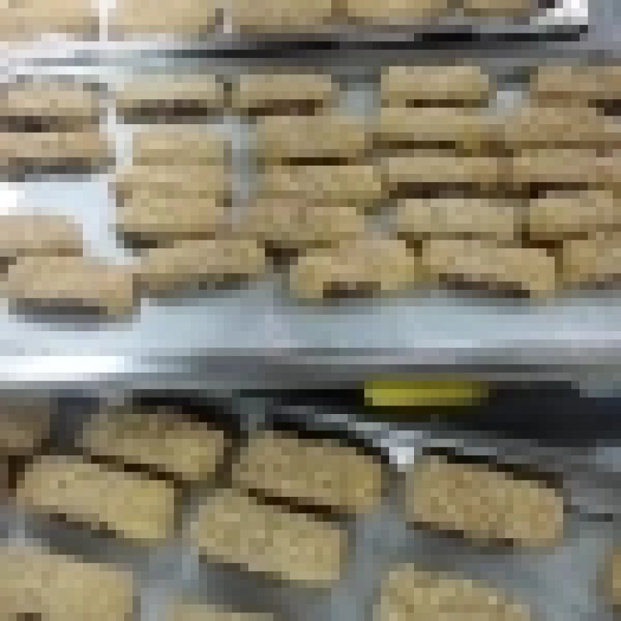 هل سيراعى قانون الايجار القديم أرباب المعاشات