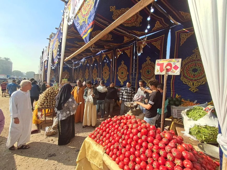 بالصور- محافظة الجيزة تقيم ١٨ سوقا للسلع الغذائية لتغطية أحياء المحافظة