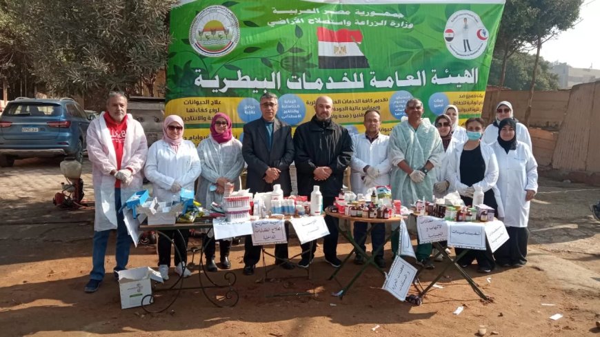 “بيطري الجيزة”: فحص وعلاج مجاني ل 1700 من الخيول والإبل بنزلة السمان في الهرم