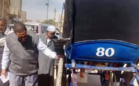 بناءاً على توجيهات محافظ أسوان .. تكثيف للنظافة العامة ورفع للتراكمات والمخلفات والإشغالات بالمدن والمراكز
