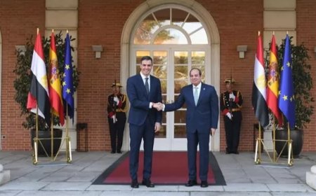 غزال: ترفيع العلاقات بين مصر وأسبانيا إلى مستوى الشراكة الاستراتيجية.. خطوة لتعزيز التعاون المشترك