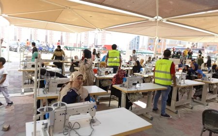 تسليم مشاريع تمكين اقتصادى للأسر الأولى بالرعاية فى جميع مراكز وقرى محافظة أسوان