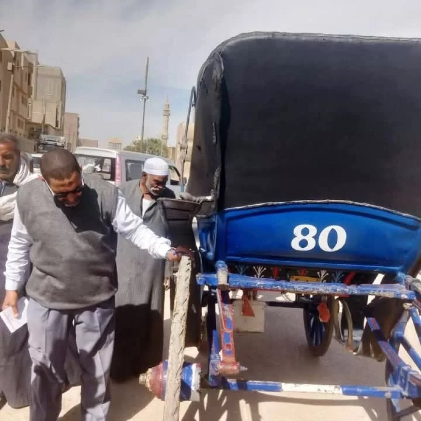 بناءاً على توجيهات محافظ أسوان .. تكثيف للنظافة العامة ورفع للتراكمات والمخلفات والإشغالات بالمدن والمراكز