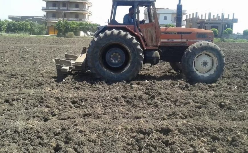 الزراعة : تكثيف الجهود الارشادية للمحاصيل الاستراتيجية وتنمية القطاع الزراعي بمحافظة كفر الشيخ