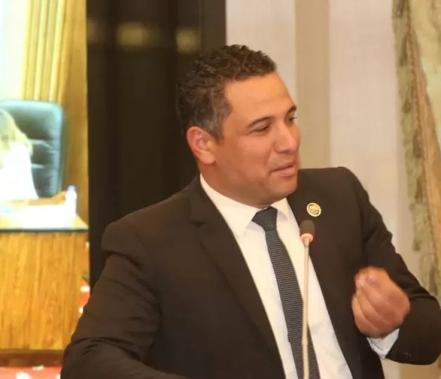 النائب باسم حجازي: ترميم وصيانة كوبري إسحاقة خلال أيام