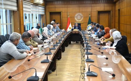 محافظ الدقهلية: دعم الوحدات القروية بمعدات وشركات نظافة لرفع مستوى النظافة بالقرى