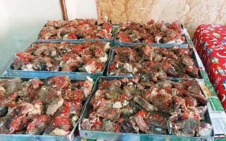 برعاية محافظ أسوان .. فرع المجلس القومى للمرأة يوزع 500 وجبة غذائية بقرى حجازة وسبيل العرب بكوم أمبو