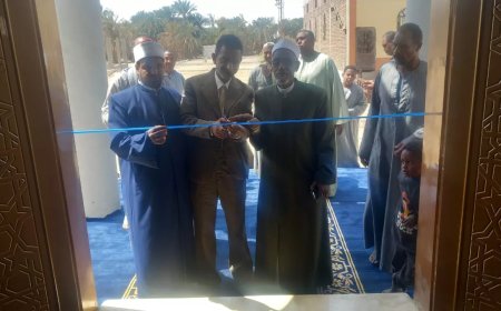 محافظ أسوان ينب رؤساء المدن ونوابهم ومسئولى الأوقاف لإفتتاح مساجد جديدة بمدن إدفو ودراو .. ووصول عدد المساجد الجديدة إلى 217 مسجداً حتى الآن