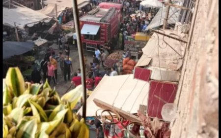 شارع ترعه الشابورى ٠ ٠ سمك ٠٠ لبن ٠ ٠ تمر هندى