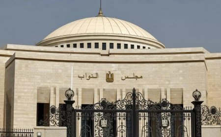 قومي المرأة مشيدا بمجلس النواب  لإقراره عددا من المواد  المنظمة لتشغيل النساء  بمشروع قانون العمل الجديد المنظم للعمل بالقطاع الخاص