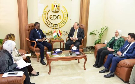 د. على الغمراوى :تعزيز التعاون الدوائي مع السفير الإيفواري بالقاهرةوعقد شراكة استراتيجية في مجال الدواء مع الجانب الإيفواري