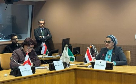 ضمن فعاليات لجنة وضع المرأة بالأمم المتحدة-   أمل عمار تشارك فى  جلسة ” إنجازات وتحديات ما بعد بيجين واقتصاد الرعاية في زمن الأزمات والحروب”