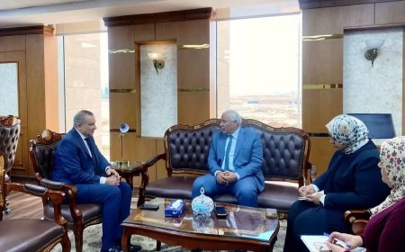 محافظ الوادي الجديد يلتقي رئيس صندوق التنمية الحضرية لبحث مشروعات تطوير العواصم