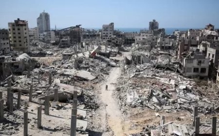 تحالف الأحزاب يثمن دعم الصحافة الأمريكية للخطة المصرية لإعمار غزة