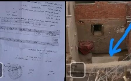 “أضرحة في خطر”.. أهالي بني عامر بالشرقية يطالبون بتنفيذ قرارات الإزالة وإنقاذ مقامي الشيخ عبد الله والشيخة مريم