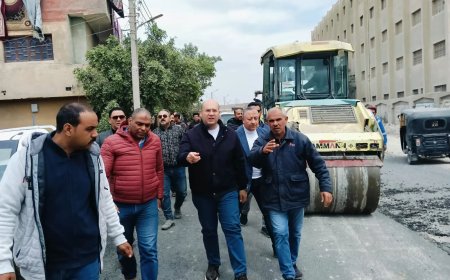 جولة ميدانية موسعة لنائب محافظ الجيزة بمركز الصف (صور)