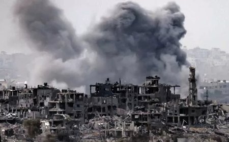 باشات : مصر تواجه مخطط التهجير بقوة وثبات