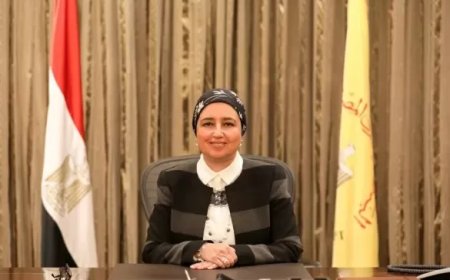 قومي المرأة يهنئ لبنى هلال لتعيينها كأول سيدة رئيسة لمجلس إدارة الشركة المصرية للاتصالات