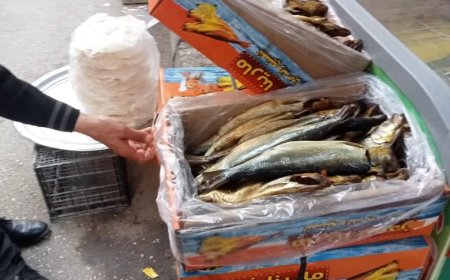 “أوسيم” في المقدمة.. ضبط ٦ أطنان رنجة وفسيخ فاسدة في 6 مناطق بالجيزة