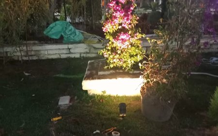 20 اسبوت لايت بحديقة ساعة الزهور بـ ” عروس البحر الأبيض المتوسط ” استعدادا لاحتفالات عيد الفطر المبارك ورفع 175حالة اشغال