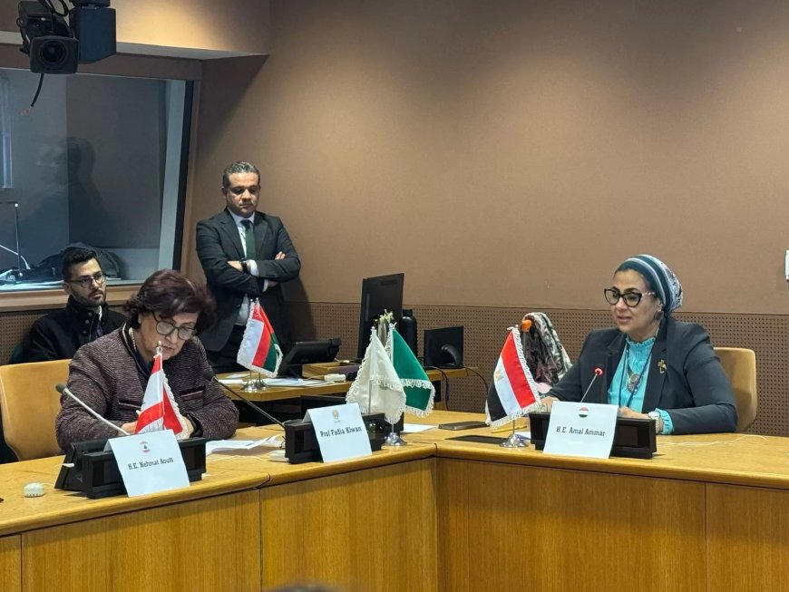 ضمن فعاليات لجنة وضع المرأة بالأمم المتحدة-   أمل عمار تشارك فى  جلسة ” إنجازات وتحديات ما بعد بيجين واقتصاد الرعاية في زمن الأزمات والحروب”