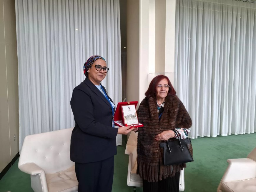 على هامش مشاركتها فى فعاليات الدورة 69 للجنة وضع المرأة بالأمم المتحدة “csw69” المستشارة أمل عمار تلتقى الأمين العام للمجلس الأعلي للمرأة البحرينية