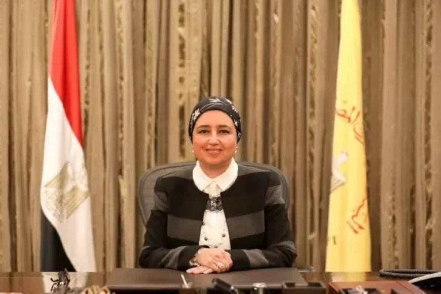 قومي المرأة يهنئ لبنى هلال لتعيينها كأول سيدة رئيسة لمجلس إدارة الشركة المصرية للاتصالات