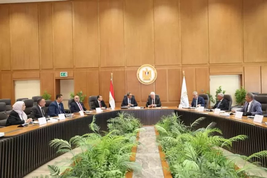 “عزوز” رئيسًا لمجلس أمناء جامعة جنوب الوادي الأهلية.. و “خضاري” نائبًا