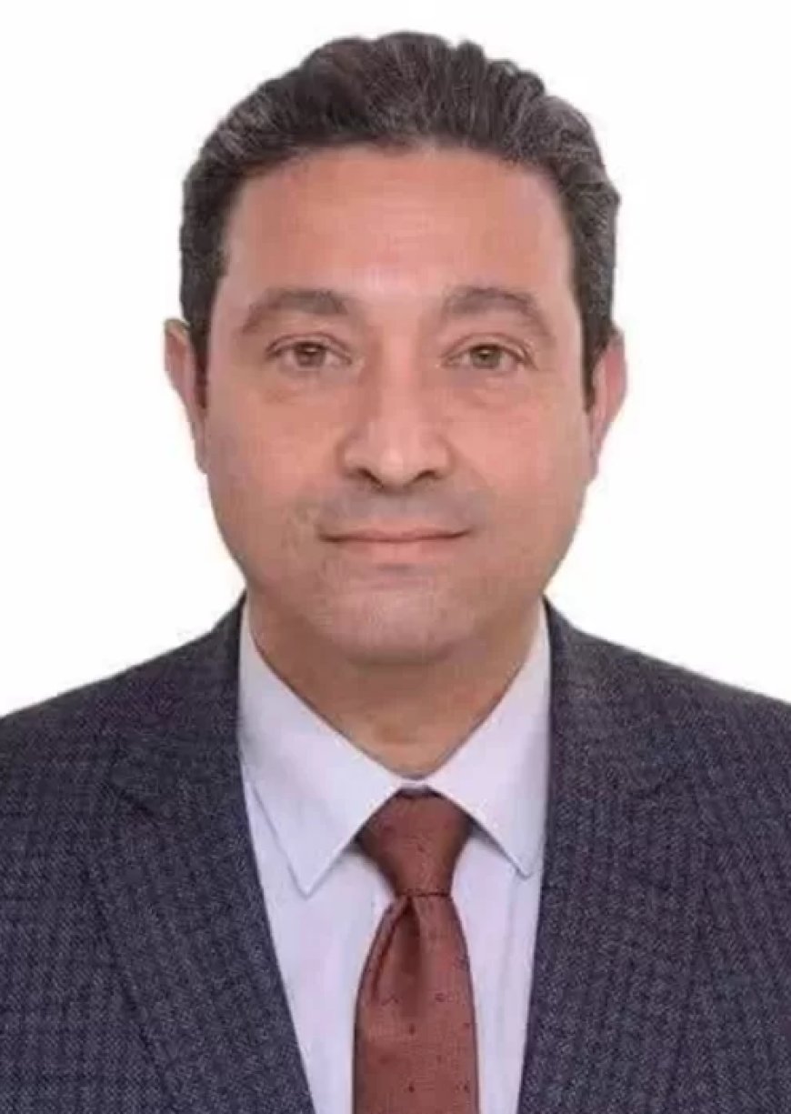 دمياط التى نتمناها