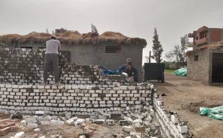 محافظ كفرالشيخ يتابع جهود إزالة التعديات على الأراضي الزراعية بمطوبس