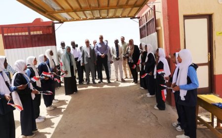 فى جولة ميدانية .. محافظ أسوان يتفقد المنظومة التعليمية بمدرستى الجنينة والشباك الإعدادية المشتركة ونوبة المستقبل الخاصة للغات بمركز نصر النوبة