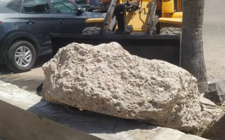 رفع 5 طن من المخلفات المتنوعة من نظافةحديقة مستشفى جمال عبد الناصر بمعدات وعمال حي وسط .