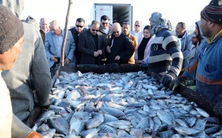 محافظ الشرقية يفتتح موسم صيد الأسماك بمزرعة العباسة بأبو حماد