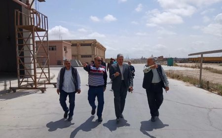 “الذهب الأصفر” في الإسكندرية: استعدادات مبكرة لموسم القمح المحلي