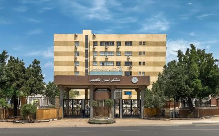 محافظ أسوان يطمئن على الحالة الصحية لطلاب مدرسة المعمارية بعد تعرضهم لحادث مرورى .. وخروجهم من المستشفى بإستثناء حالتين جارى التدخل العلاجى لهم