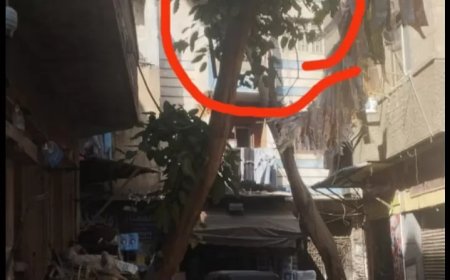 حى السيدة زينب يستجيب لقراء « المساء »