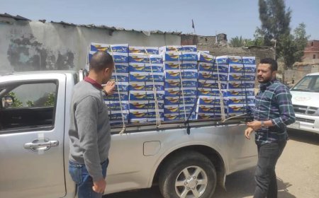 ضبط 20 طن رنجة وأسماك مدخنة فاسدة في حملة تموينية موسعة  بالشرقية