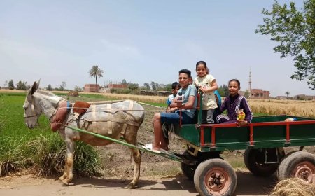 شم النسيم على طريقة الشرقية: “كارو” وتوت وحديقة الحيوان كاملة العدد