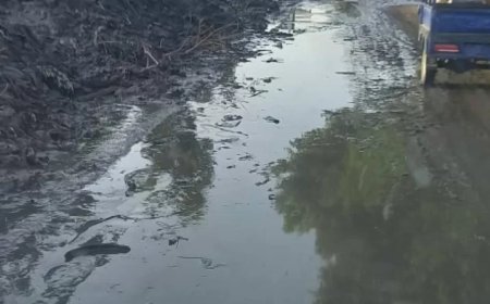 صورة مهداه إلى وزير الرى