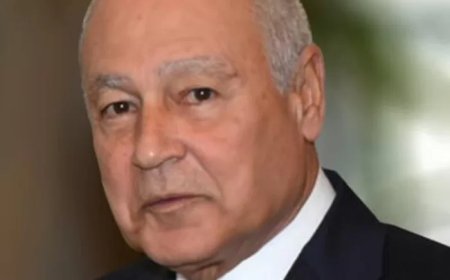 اليابان تمنح احمد أبو الغيط  وسام الشمس المشرقة