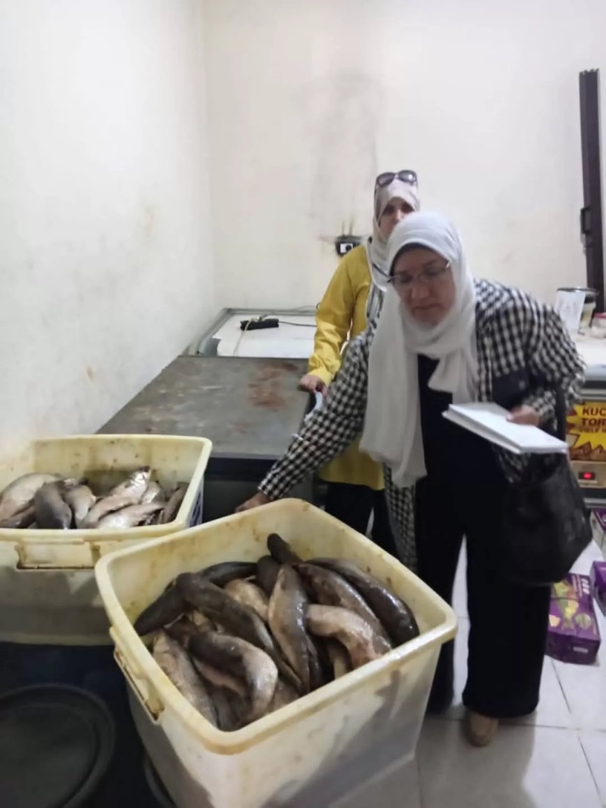 “تموين الجيزة” تضبط ١.٣ طن من الفسيخ والرنجة غير صالحة للاستهلاك الآدمي