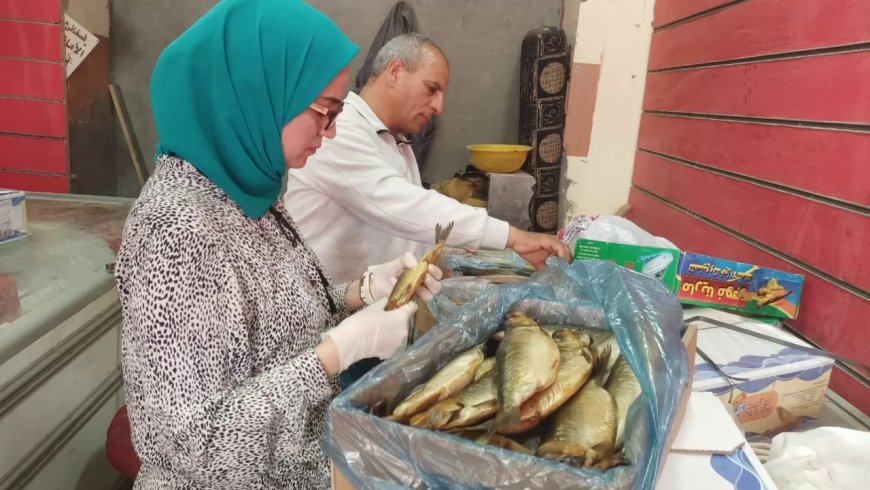 محافظ بني سويف يوجه رؤساء المدن بتكثيف الحملات على الأسواق  وأماكن تداول السلع الغذائية تزامنًا مع أعياد الربيع وشم النسيم