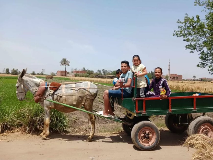 شم النسيم على طريقة الشرقية: “كارو” وتوت وحديقة الحيوان كاملة العدد
